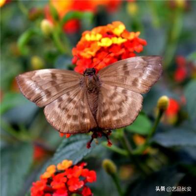 密室逃脱4迷失森林手游下载