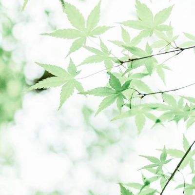 巴松：四大趋势将影响全球钢铁业未来发展