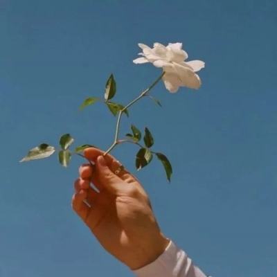 新星经理破解版下载
